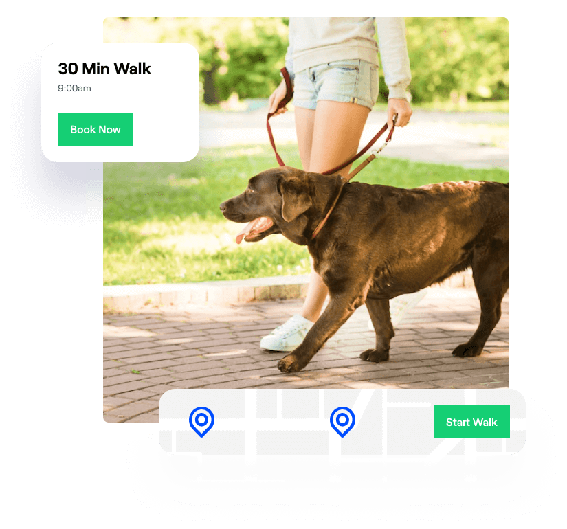 Dog Walking Business Scheduling